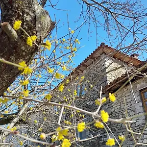 Gasthuis Bujtina Tusha, Tirana